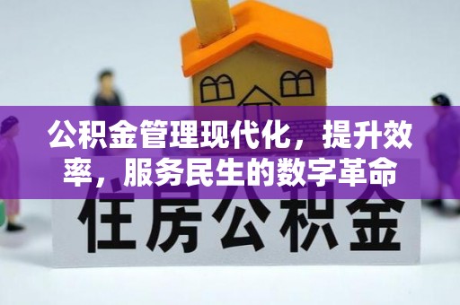 玛纳斯公积金管理现代化，提升效率，服务民生的数字革命