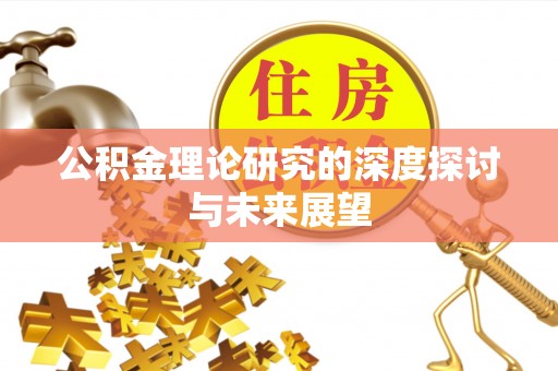 玛纳斯公积金理论研究的深度探讨与未来展望