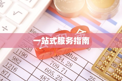 玛纳斯一站式服务指南