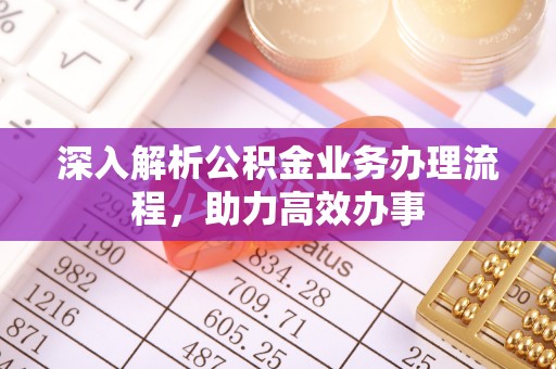 玛纳斯深入解析公积金业务办理流程，助力高效办事