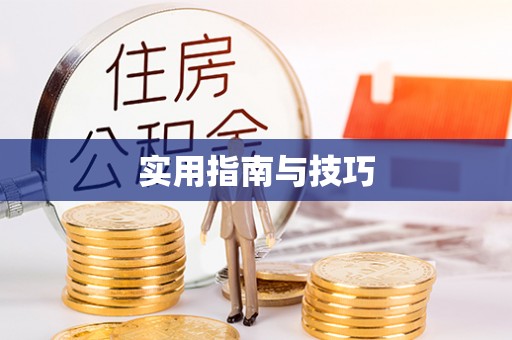 玛纳斯实用指南与技巧