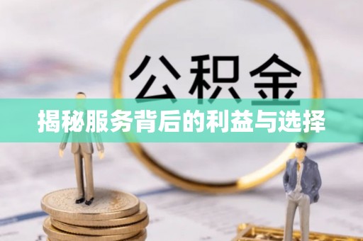 玛纳斯揭秘服务背后的利益与选择