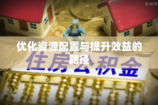 玛纳斯优化资源配置与提升效益的路径