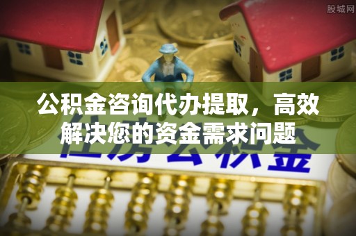 玛纳斯公积金咨询代办提取，高效解决您的资金需求问题