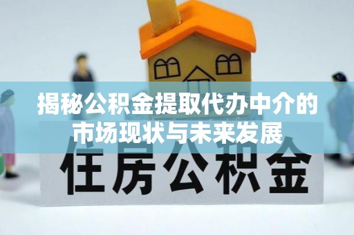 玛纳斯揭秘公积金提取代办中介的市场现状与未来发展