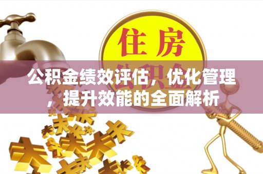 玛纳斯公积金绩效评估，优化管理，提升效能的全面解析
