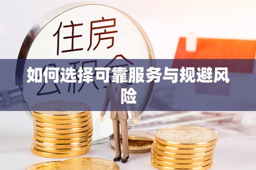 玛纳斯如何选择可靠服务与规避风险