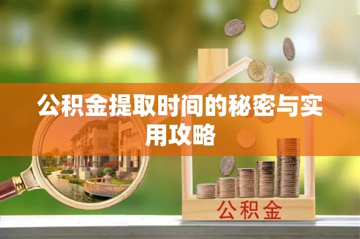 玛纳斯公积金提取时间的秘密与实用攻略
