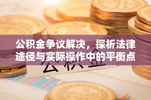 玛纳斯公积金争议解决，探析法律途径与实际操作中的平衡点