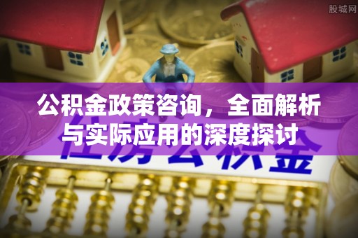 玛纳斯公积金政策咨询，全面解析与实际应用的深度探讨