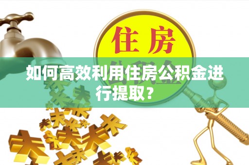 玛纳斯如何高效利用住房公积金进行提取？
