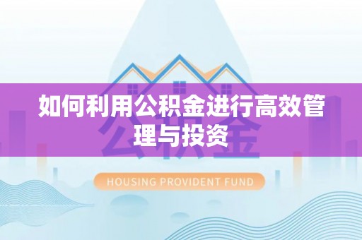 玛纳斯如何利用公积金进行高效管理与投资