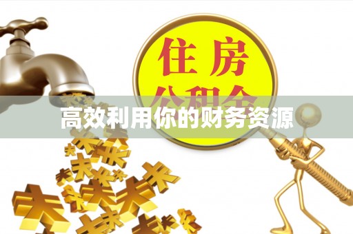 玛纳斯高效利用你的财务资源