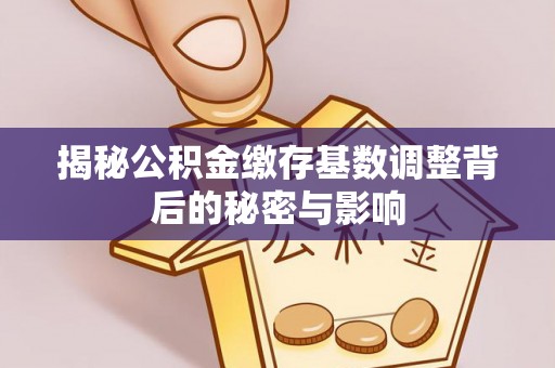 玛纳斯揭秘公积金缴存基数调整背后的秘密与影响