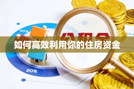 玛纳斯如何高效利用你的住房资金