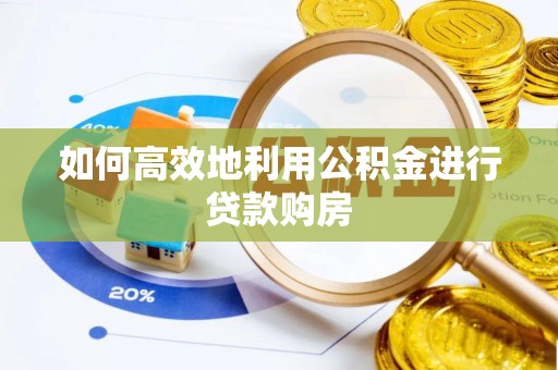 玛纳斯如何高效地利用公积金进行贷款购房