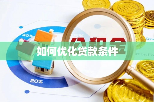 玛纳斯如何优化贷款条件