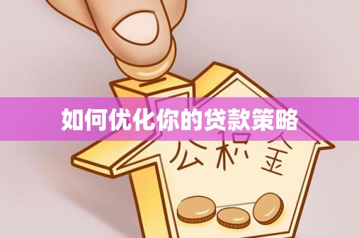玛纳斯如何优化你的贷款策略