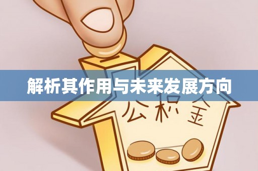 玛纳斯解析其作用与未来发展方向
