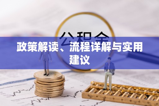 玛纳斯政策解读、流程详解与实用建议