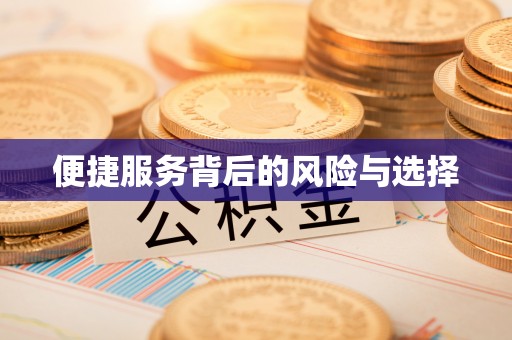 玛纳斯便捷服务背后的风险与选择