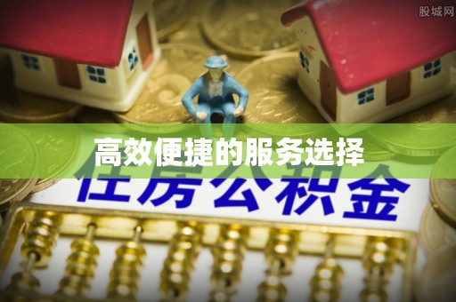 玛纳斯高效便捷的服务选择