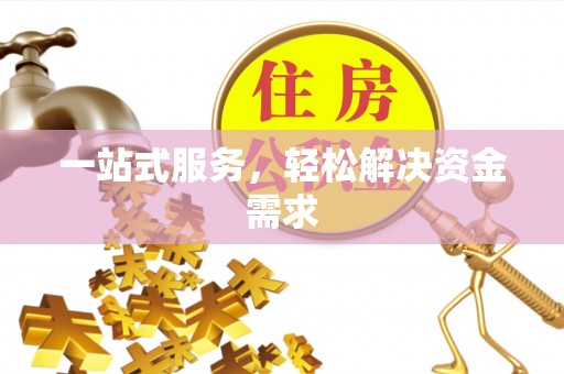 玛纳斯一站式服务，轻松解决资金需求