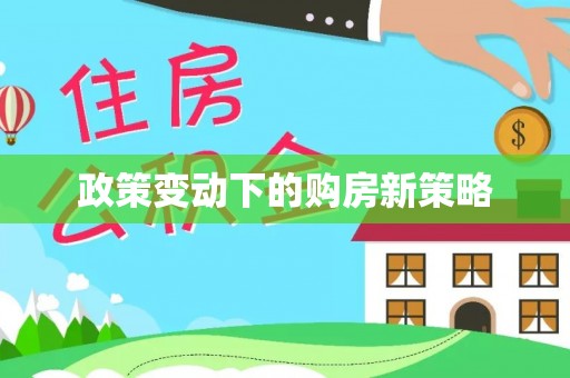 玛纳斯政策变动下的购房新策略