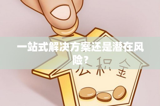 玛纳斯一站式解决方案还是潜在风险？