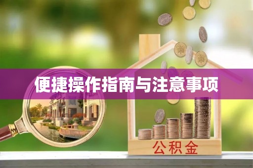玛纳斯便捷操作指南与注意事项