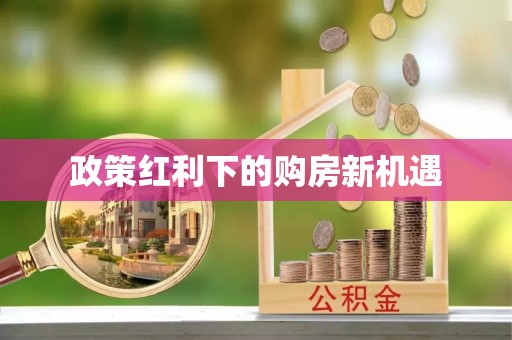 玛纳斯政策红利下的购房新机遇