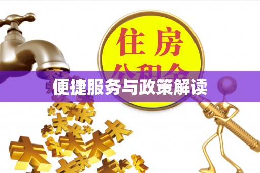 玛纳斯便捷服务与政策解读